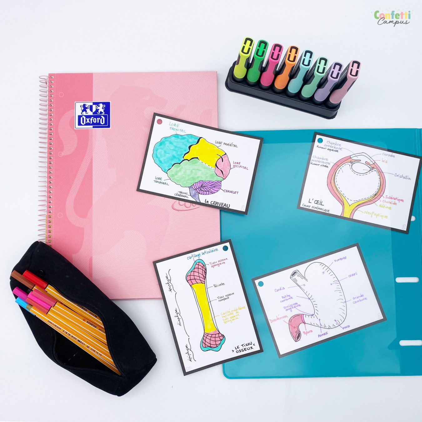 Leitner Flashcards A6 Blanco met zwarte rand Mood