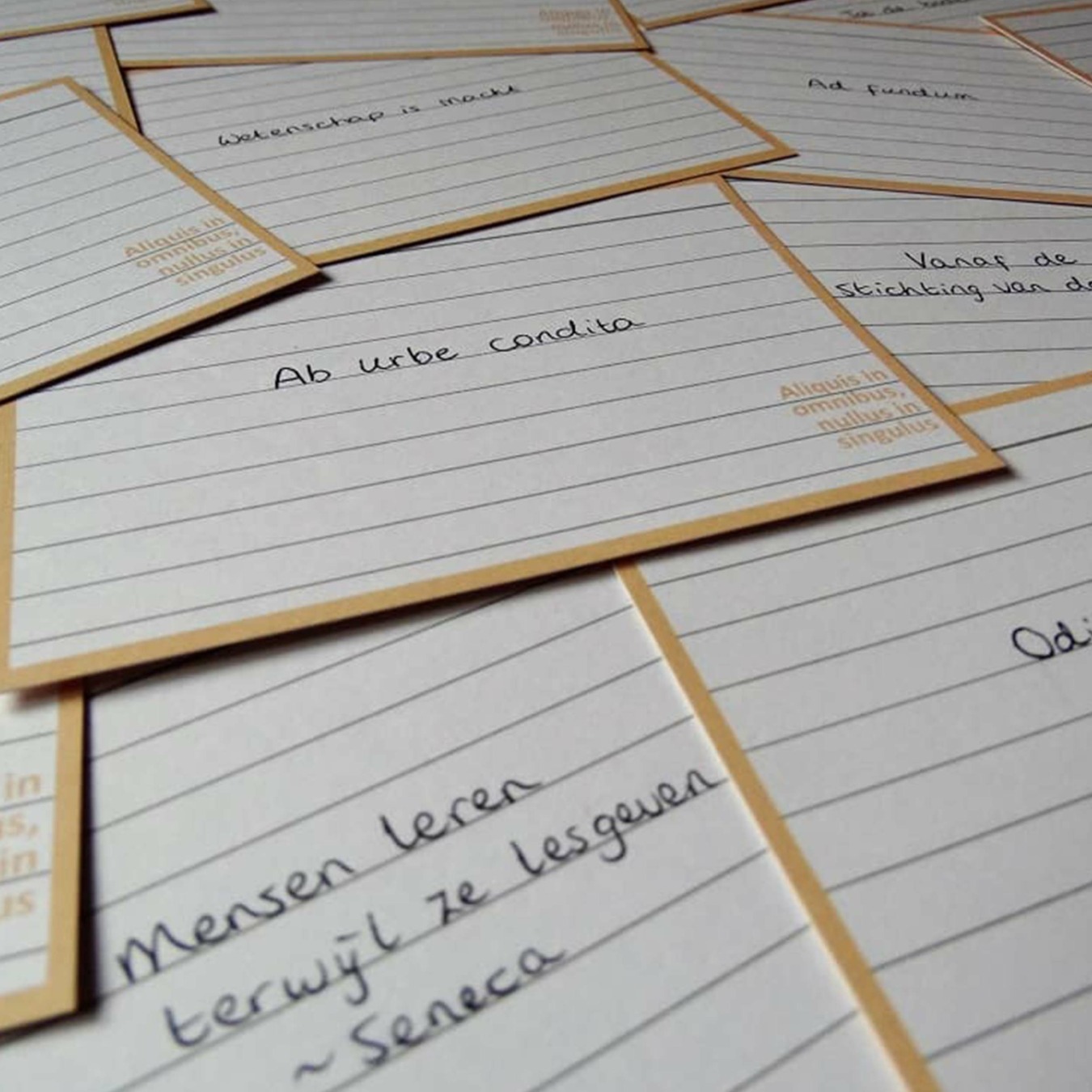 Latijn Leitner Flashcards beschreven