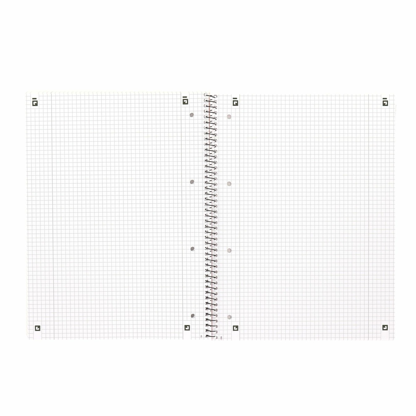 Oxford A4+ Collegeblok Geruit 5 x 5 mm met Kantlijn Links en Rechts liniatuur open