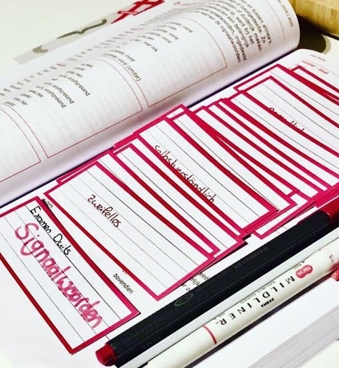Junior Leren JL217 Uitbreiding Flashcards - Begrijpend Lezen Voor Leeftijd 6+
