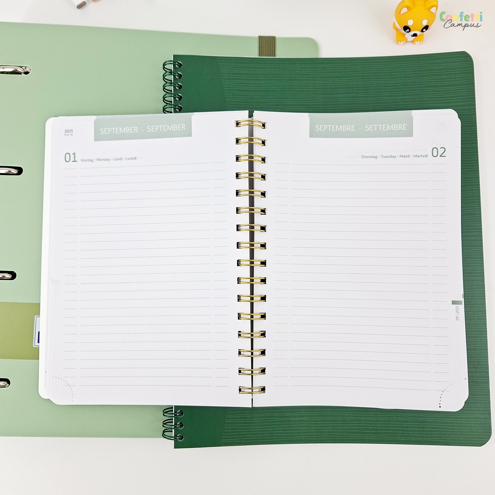 Dagplanner voor 2024, agenda, A5-formaat, pagina per dag, organisator Dagplanner voor 2024, agenda, A5-formaat, pagina per dag, organisator