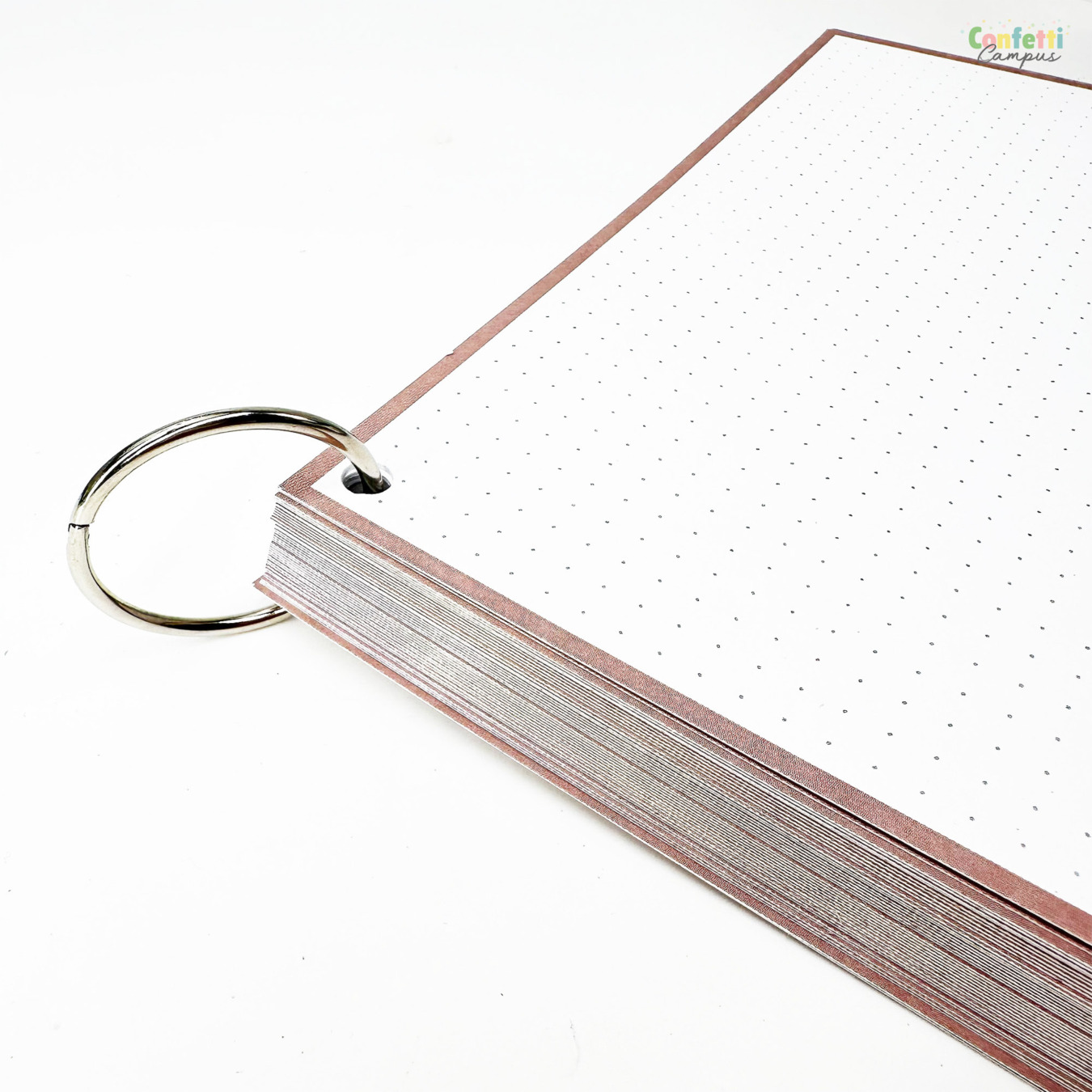 Leitner Flashcards A5 Dotted Greige