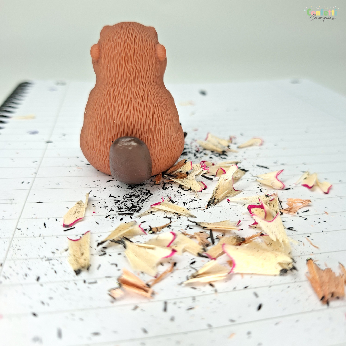 brunnen puntenslijper bever bruin