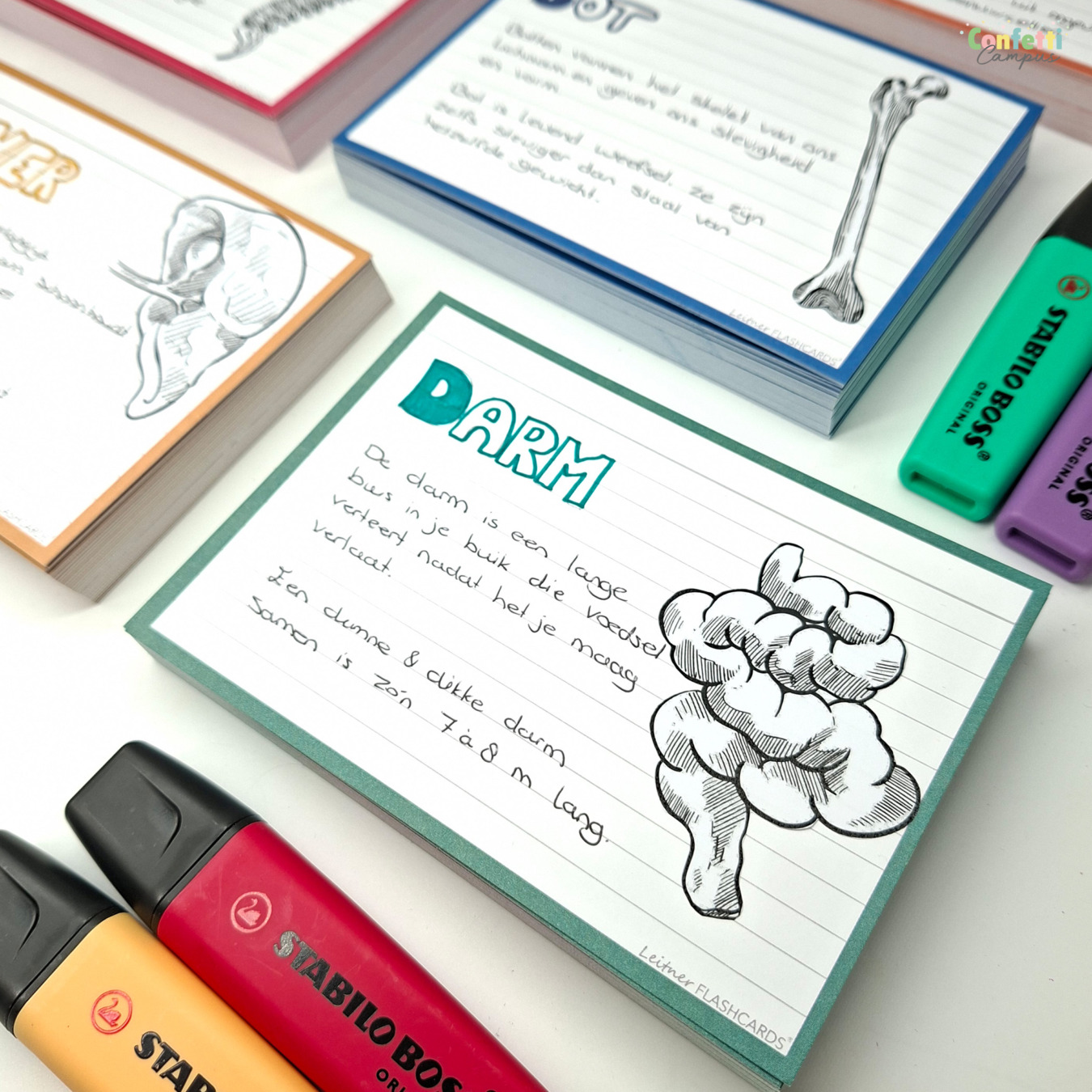 leitner flashcards a6 gelinieerd forest groen