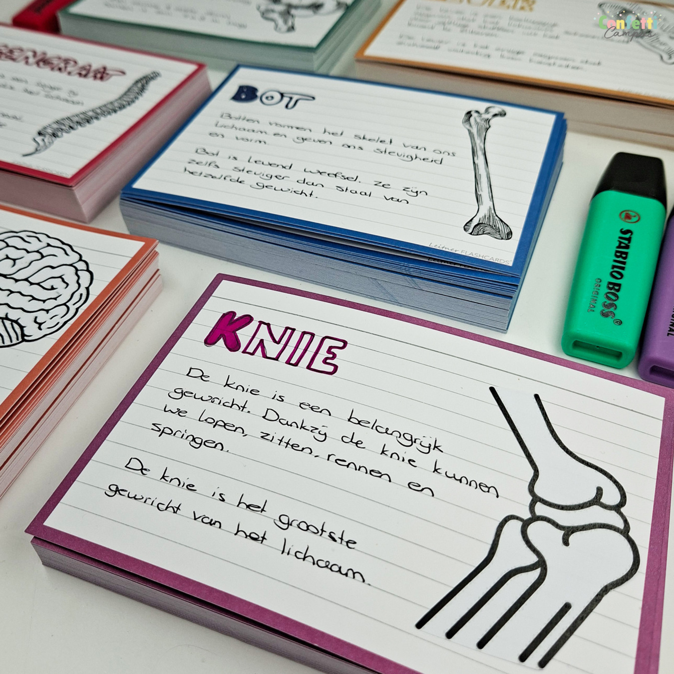 leitner flashcards a6 gelinieerd pruim