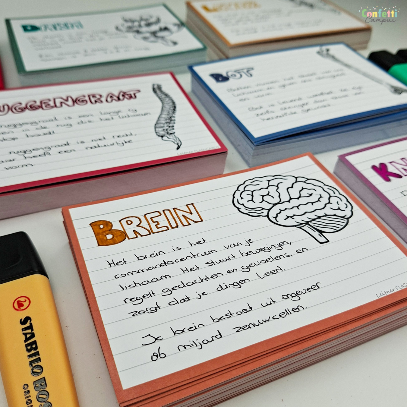 leitner flashcards a6 gelinieerd terra oranje