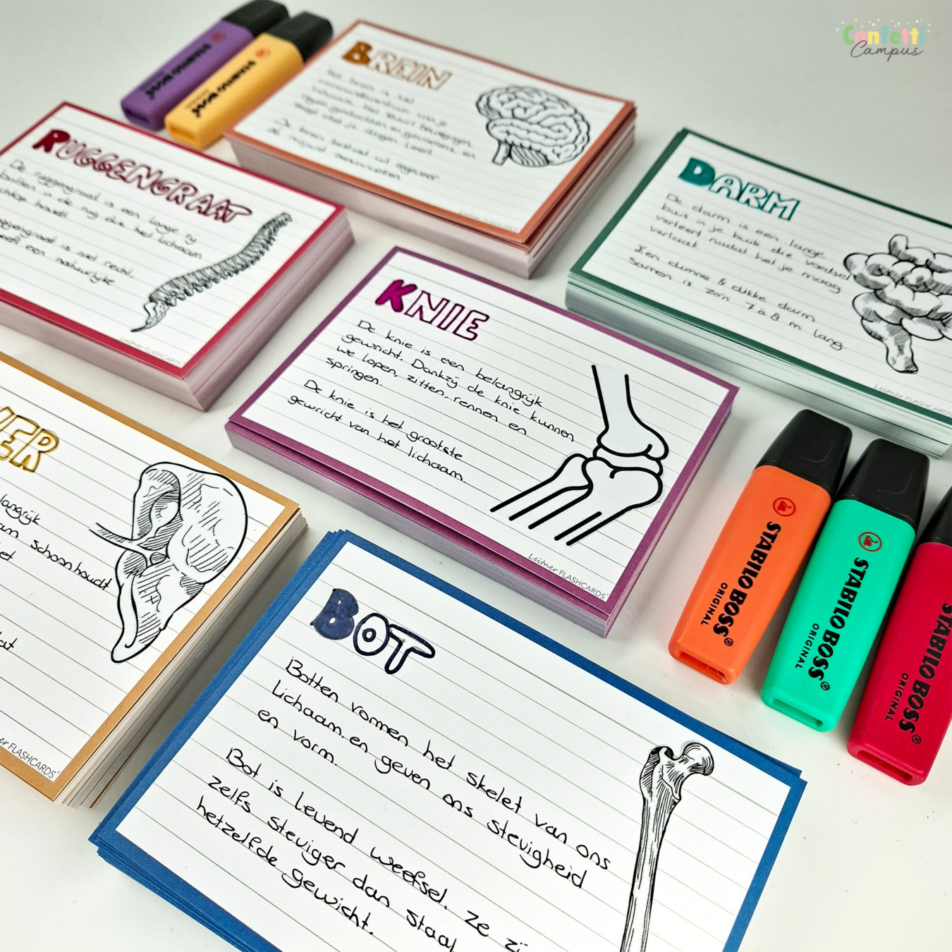 leitner flashcards a6 retro