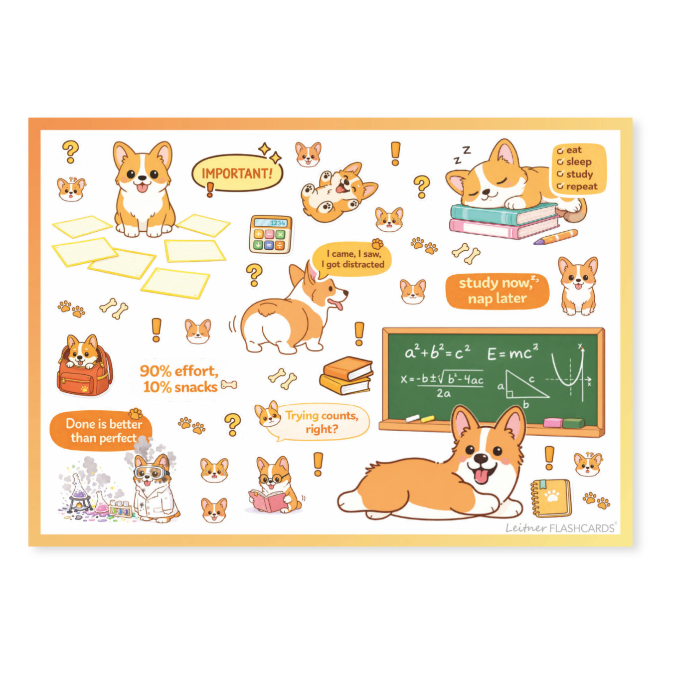 leitner flashcards stickers a6 corgi