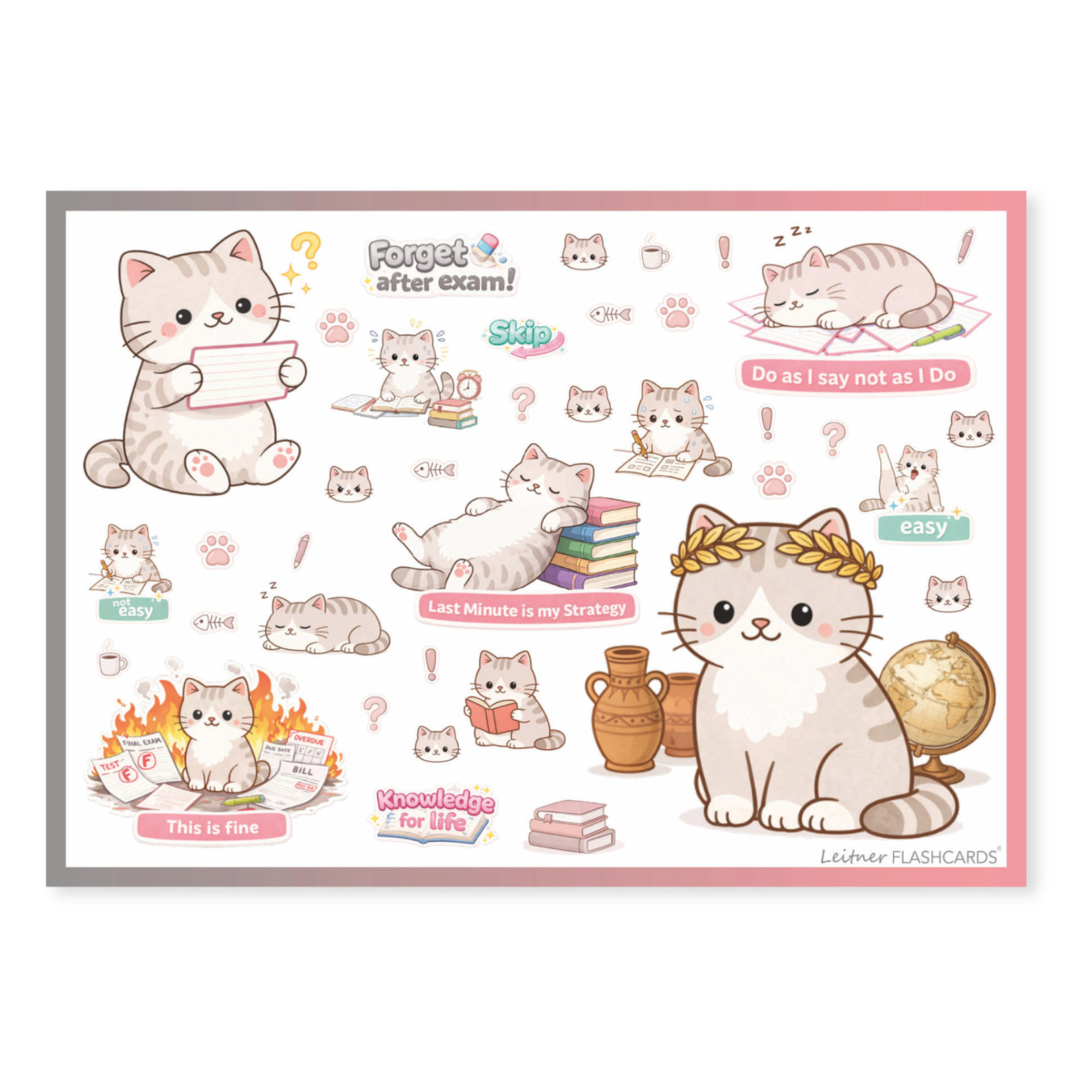 leitner flashcards stickers a6 kat