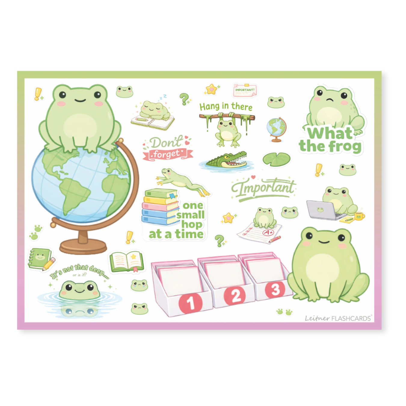 leitner flashcards stickers a6 kikker