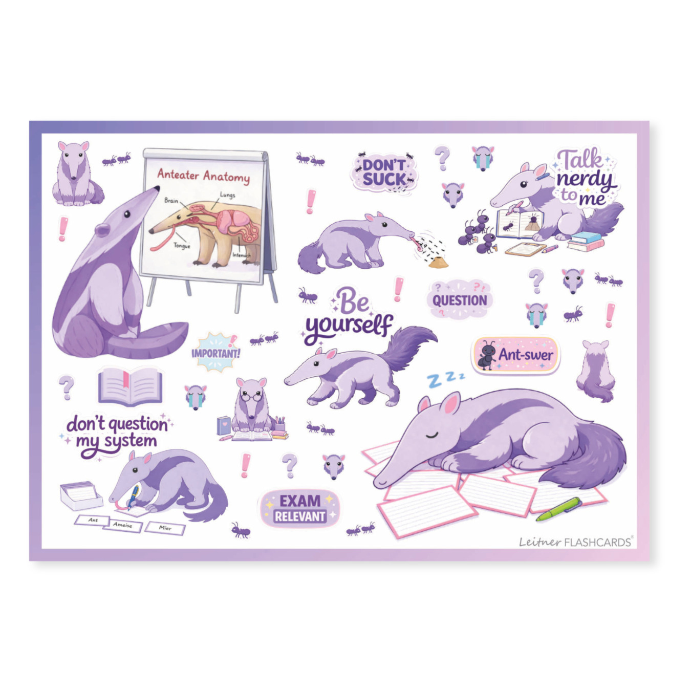 leitner flashcards stickers a6 miereneter
