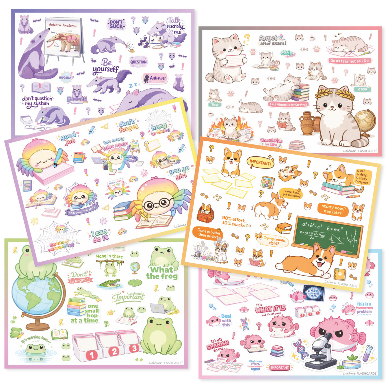 leitner flashcards stickerset a6 dieren 6 stuks