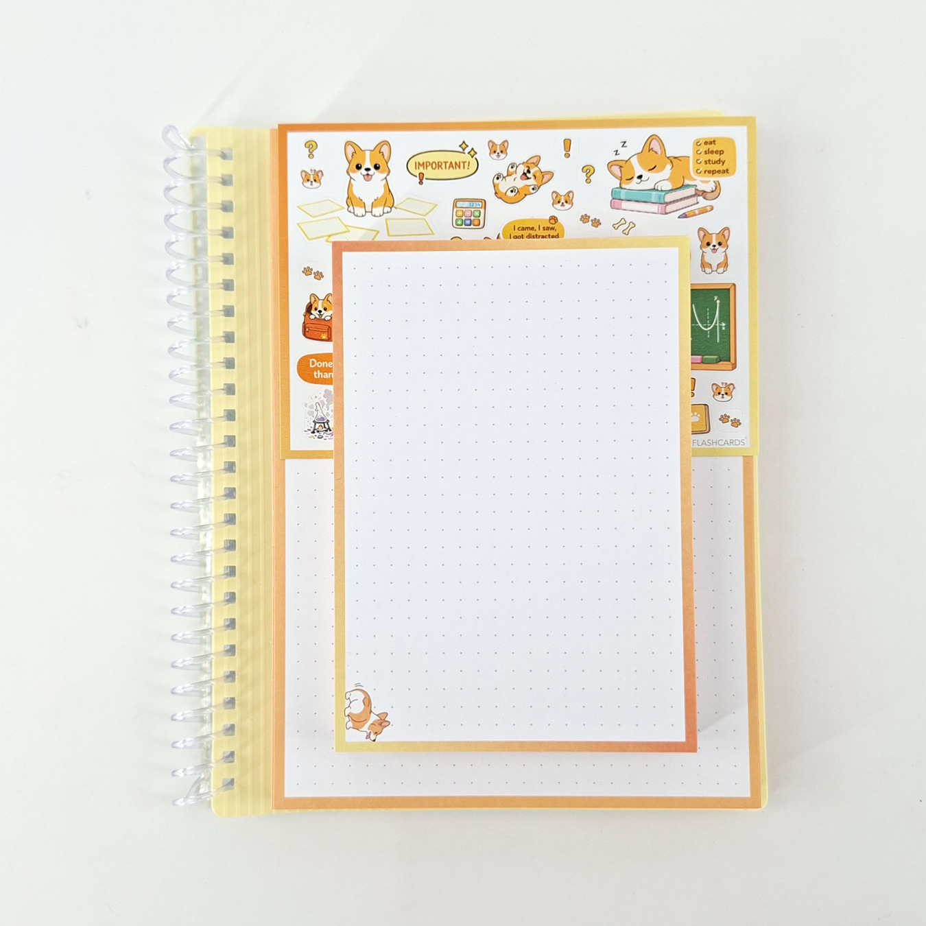 gevulde showmap a5 en a6 leitner flashcards corgi