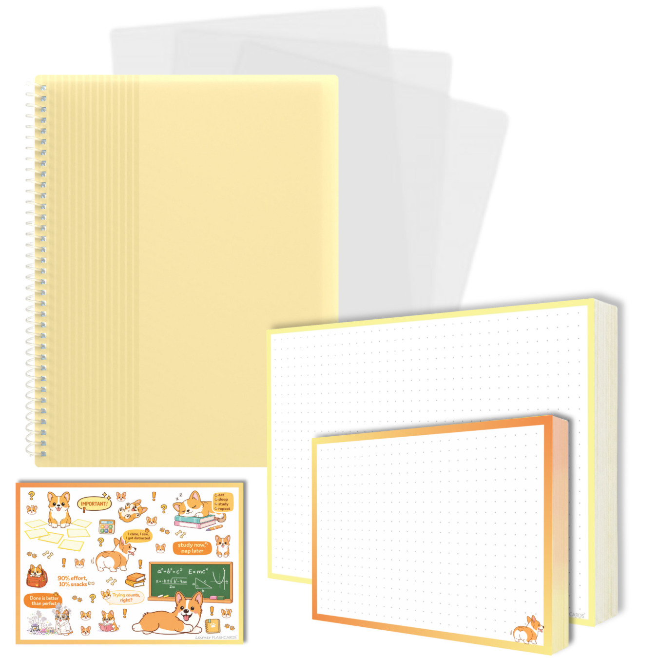 gevulde showmap a5 en a6 leitner flashcards corgi