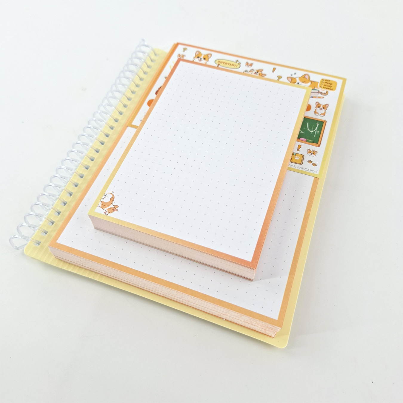 gevulde showmap a5 en a6 leitner flashcards corgi