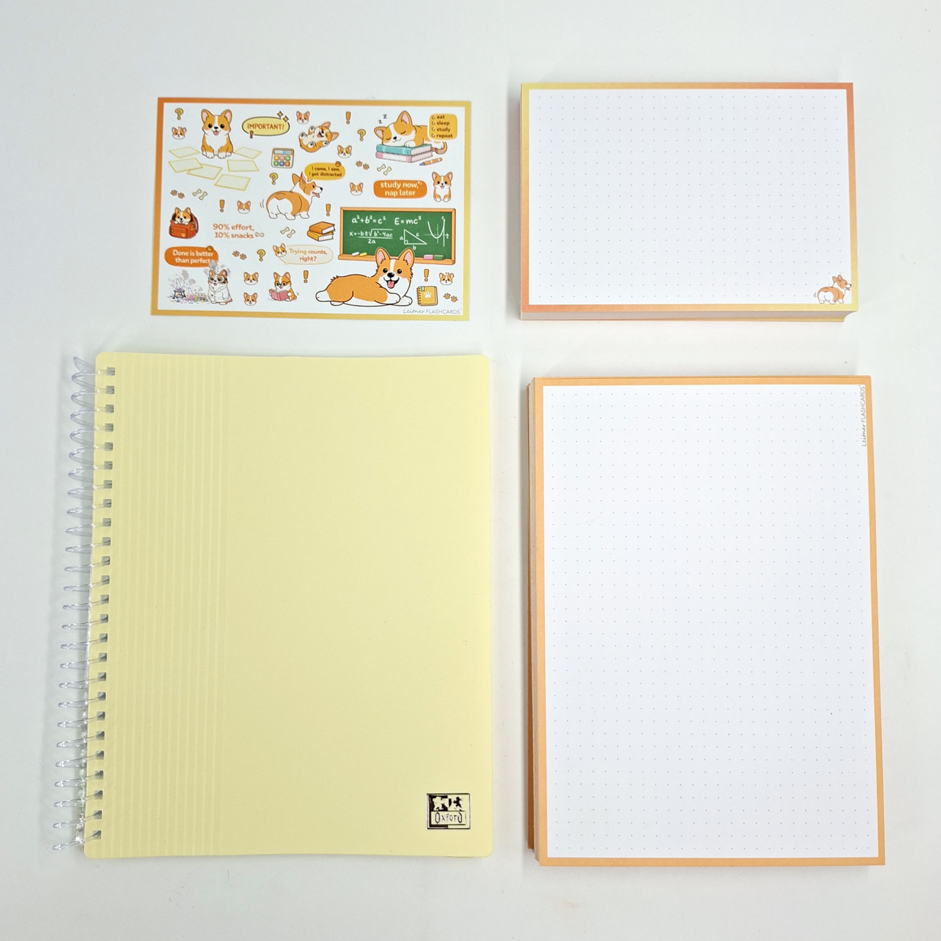 gevulde showmap a5 en a6 leitner flashcards corgi