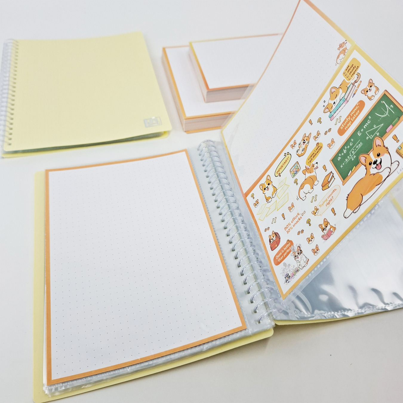 gevulde showmap a5 en a6 leitner flashcards corgi