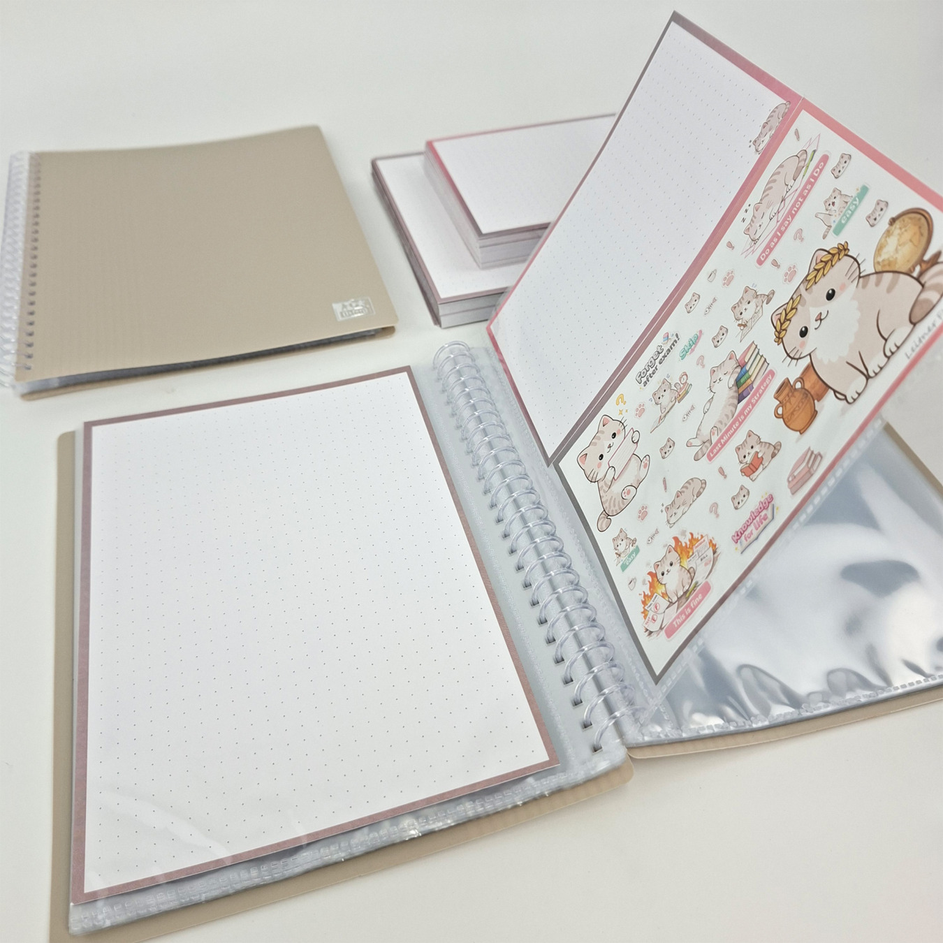gevulde showmap a5 en a6 leitner flashcards kat