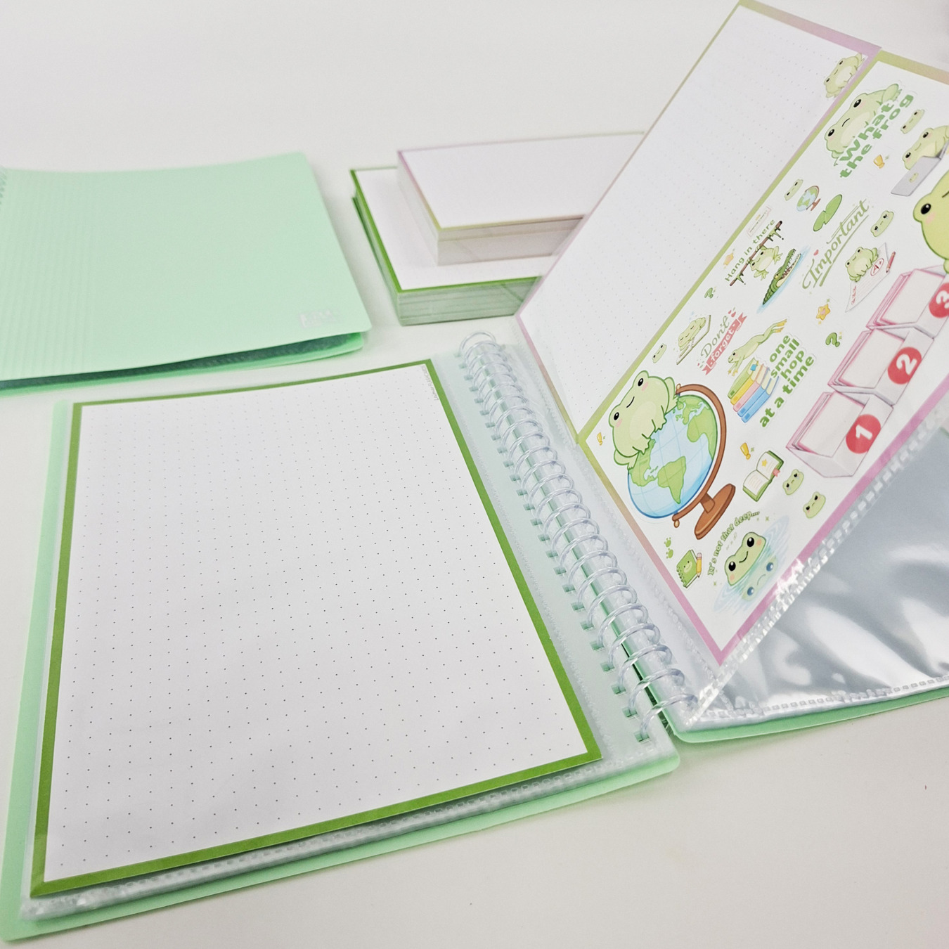 gevulde showmap a5 en a6 leitner flashcards kikker