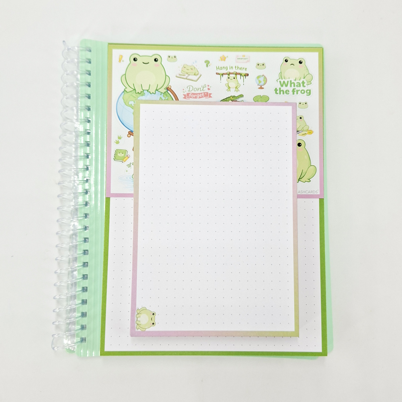 gevulde showmap a5 en a6 leitner flashcards kikker