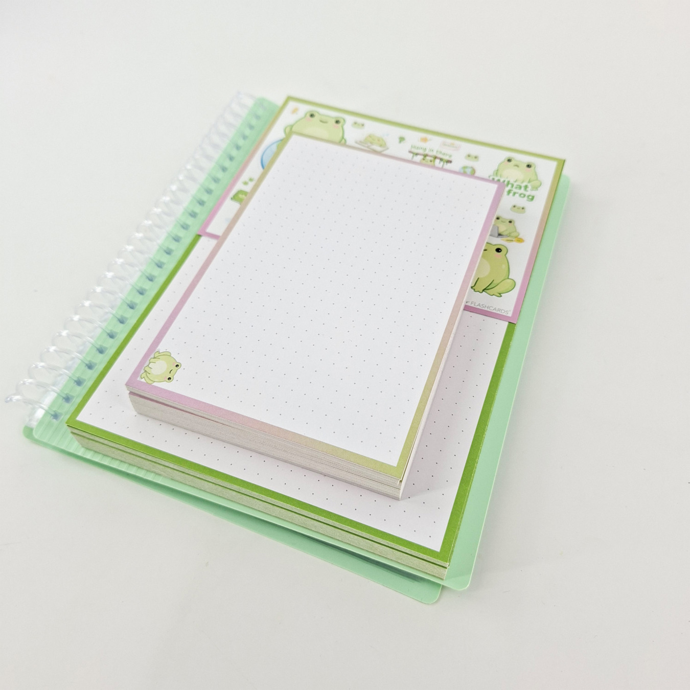 gevulde showmap a5 en a6 leitner flashcards kikker