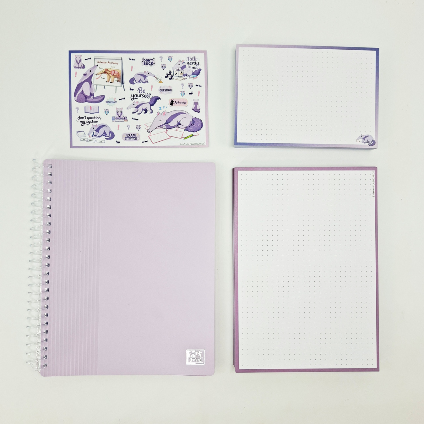 gevulde showmap a5 en a6 leitner flashcards miereneter