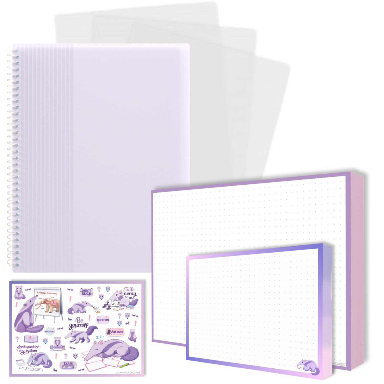 gevulde showmap a5 en a6 leitner flashcards miereneter