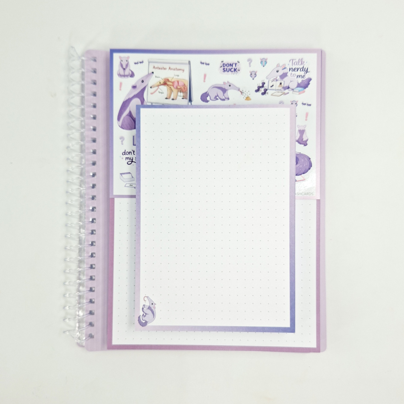 gevulde showmap a5 en a6 leitner flashcards miereneter