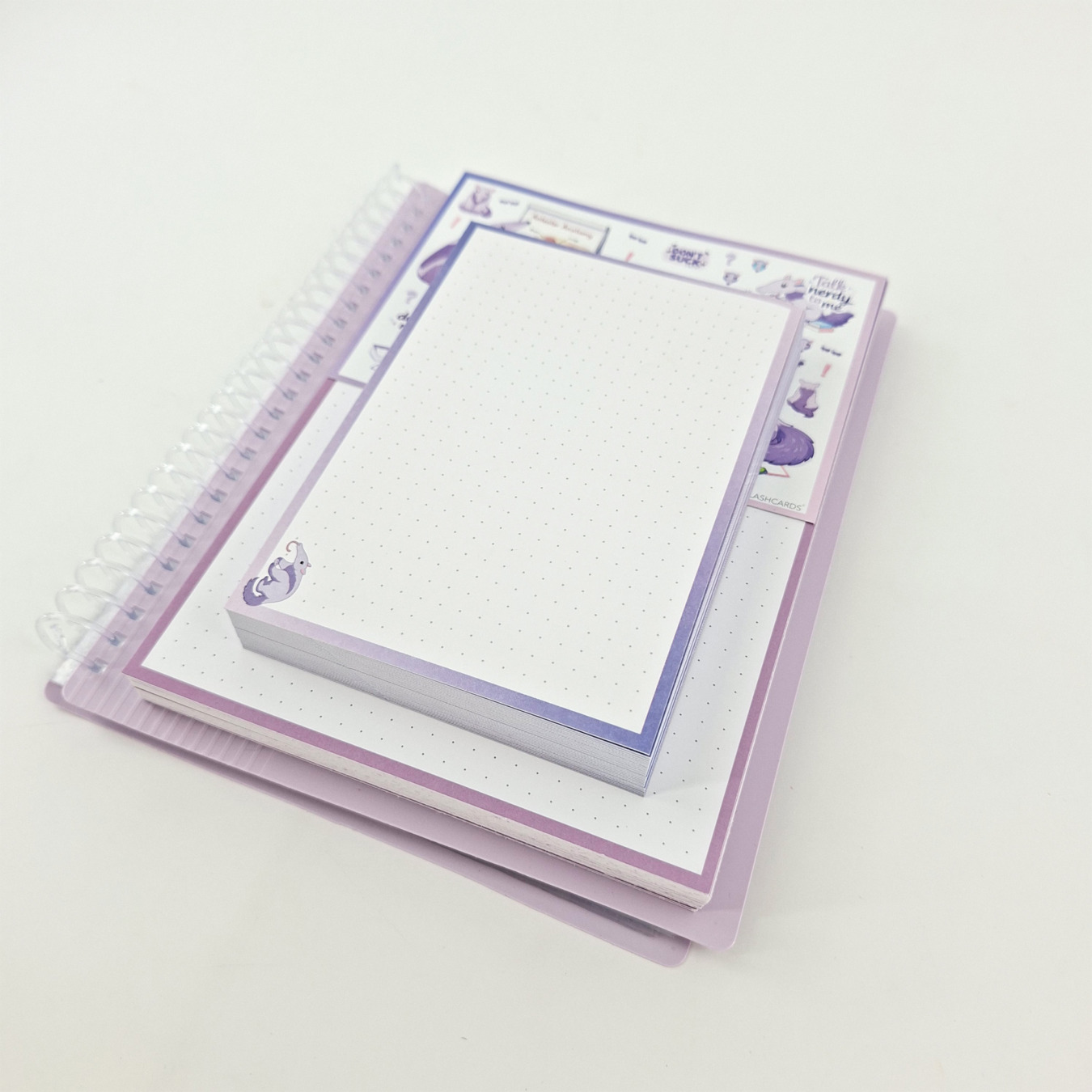 gevulde showmap a5 en a6 leitner flashcards miereneter