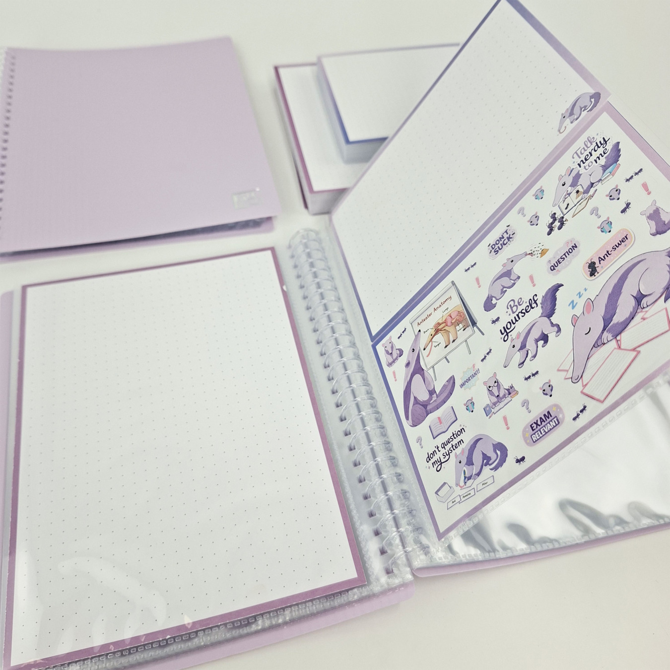 gevulde showmap a5 en a6 leitner flashcards miereneter