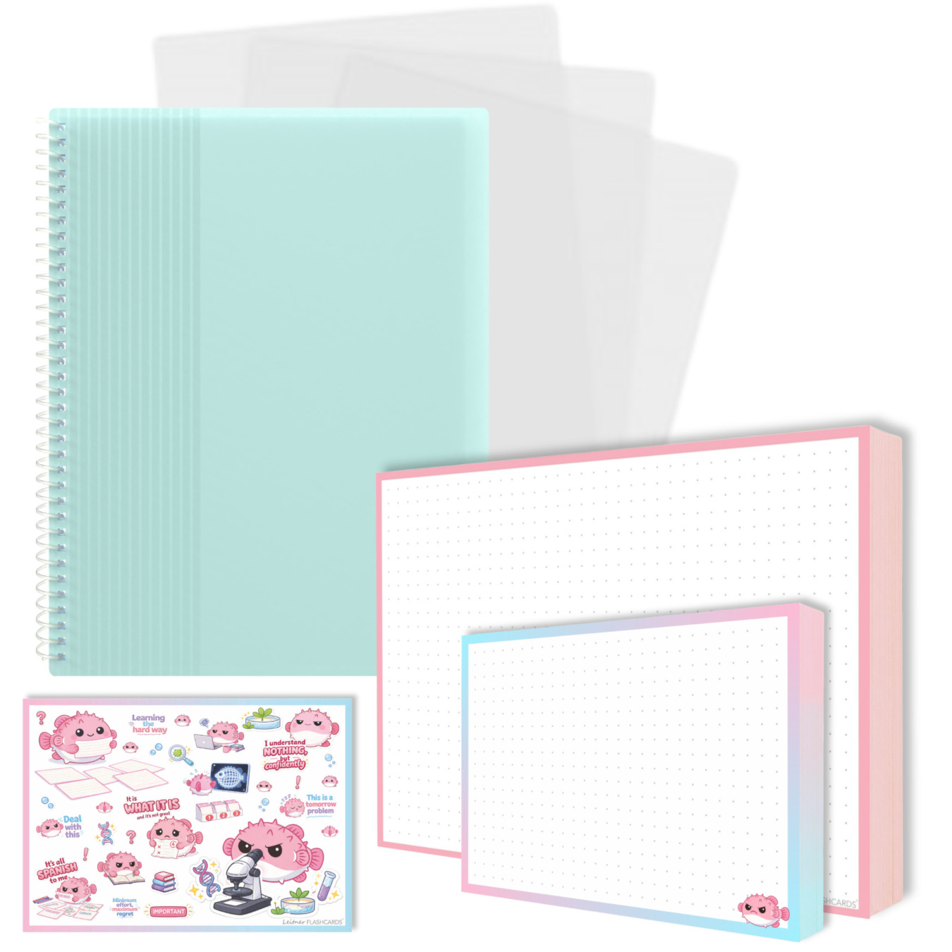 gevulde showmap a5 en a6 leitner flashcards pufferfish