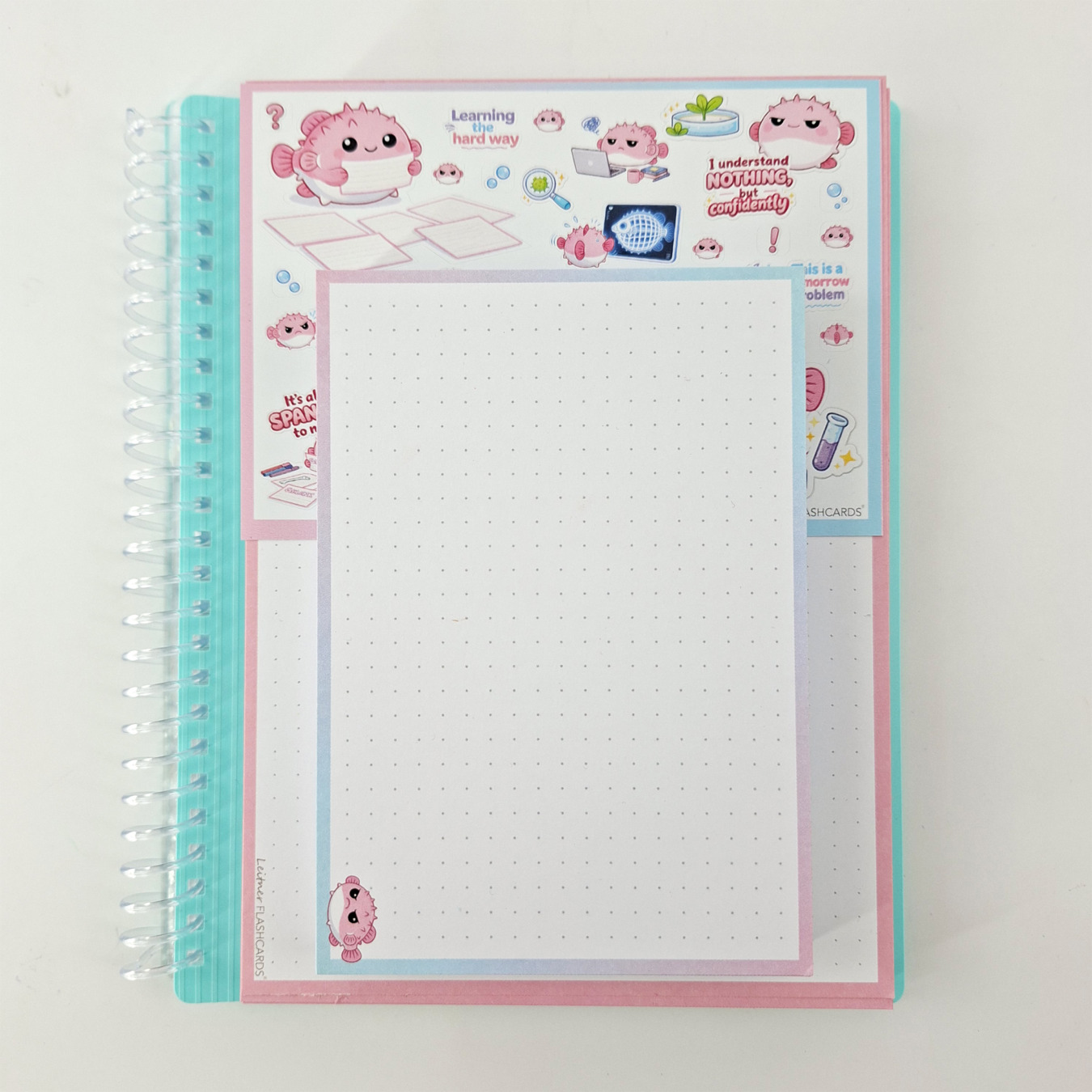 gevulde showmap a5 en a6 leitner flashcards pufferfish