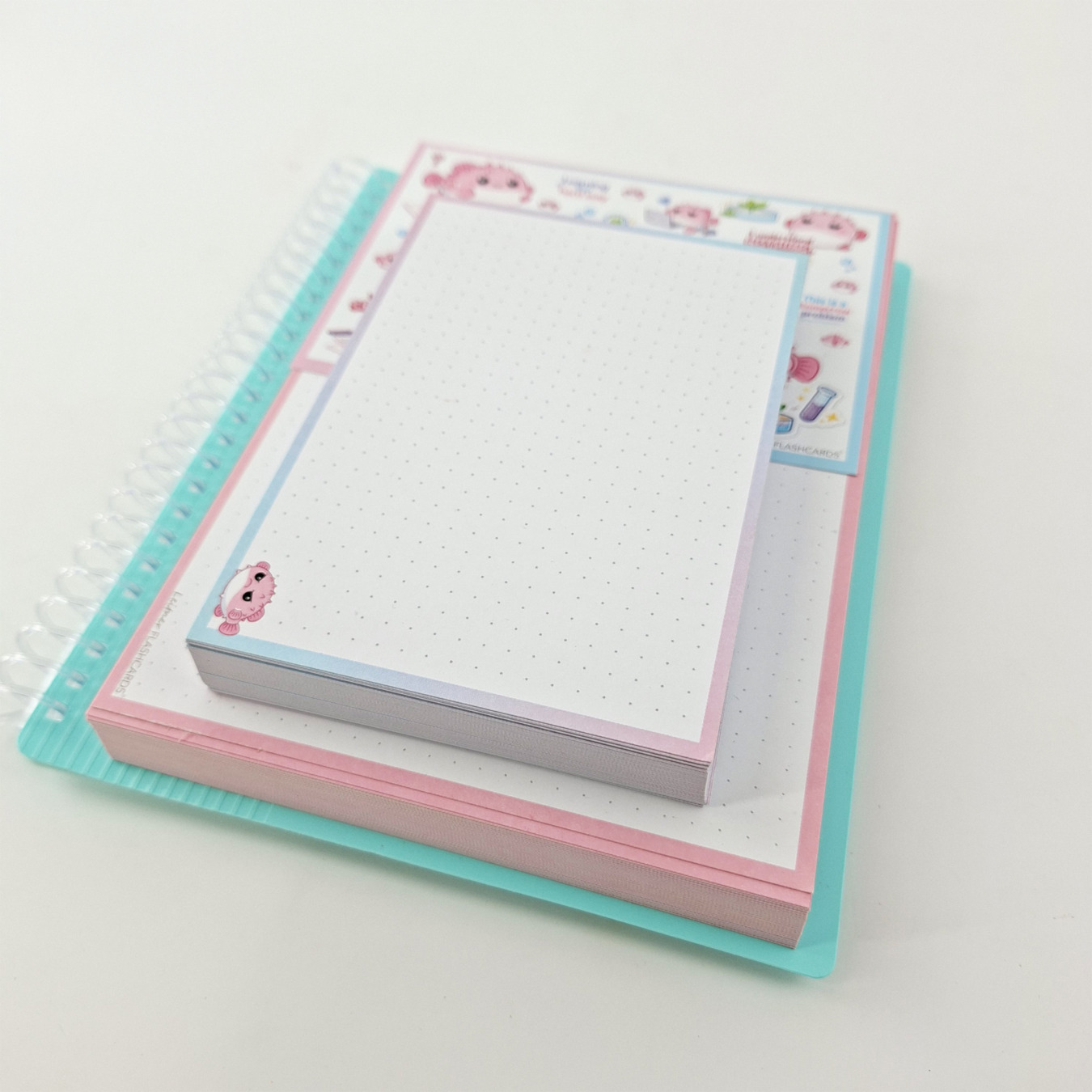 gevulde showmap a5 en a6 leitner flashcards pufferfish