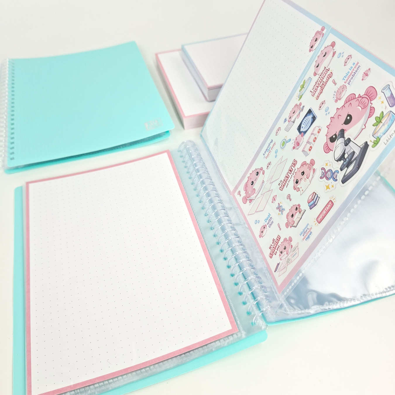 gevulde showmap a5 en a6 leitner flashcards pufferfish
