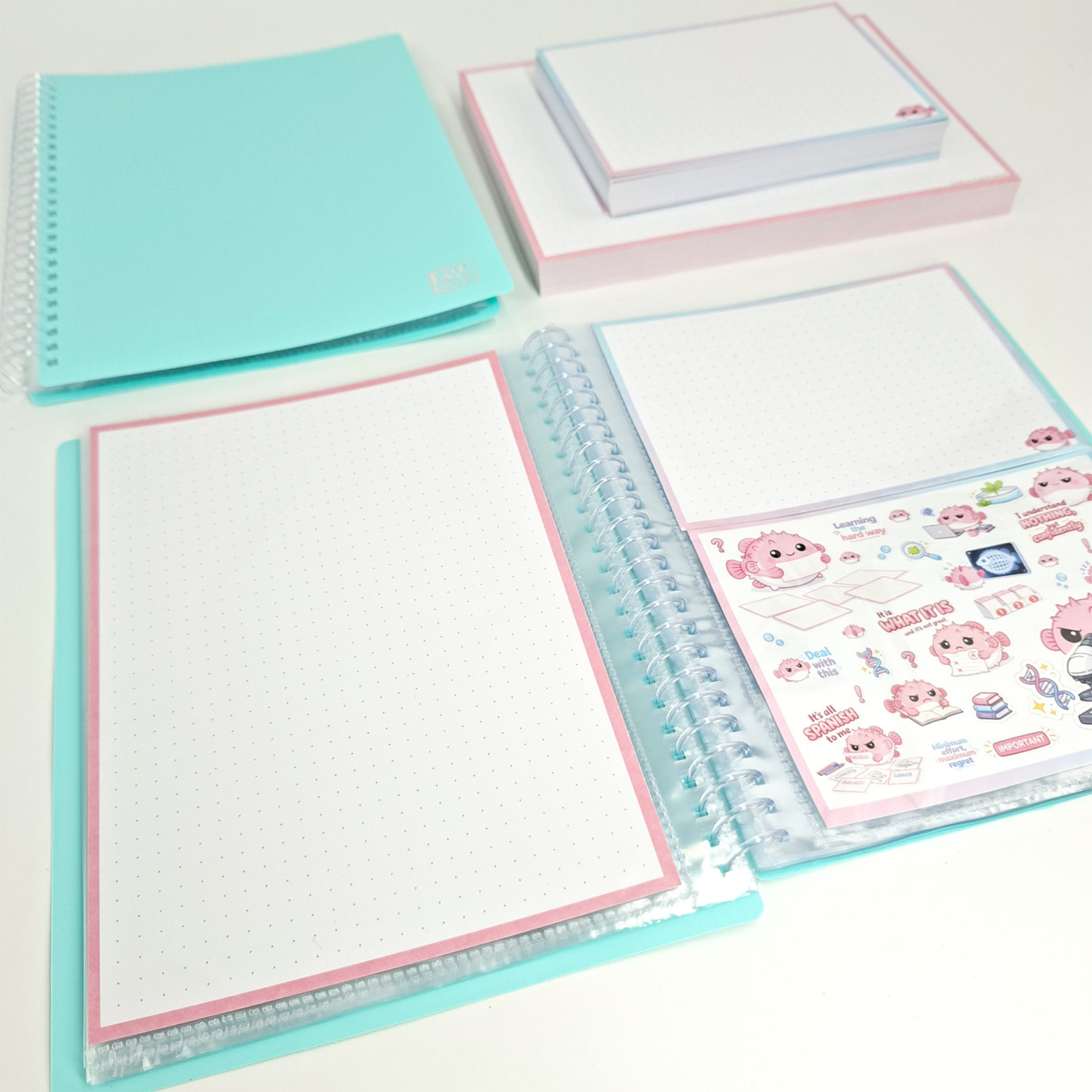 leitner flashcards a6 dotted blauw:roze pufferfish