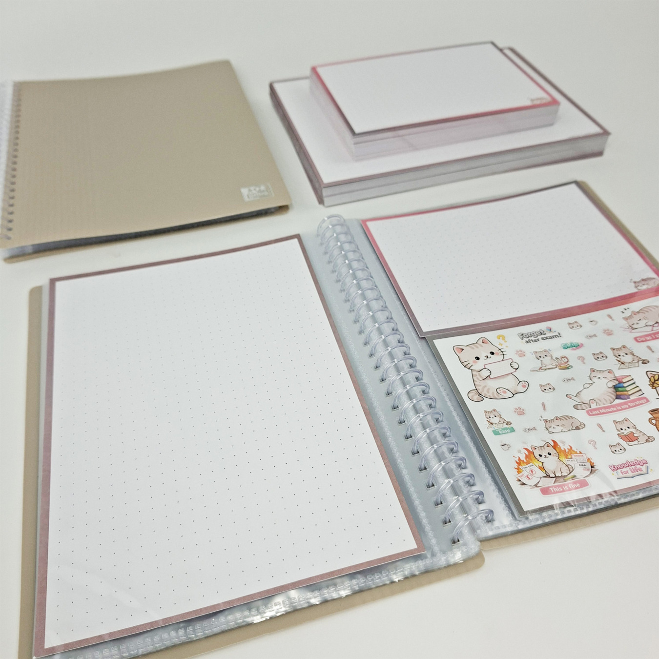 leitner flashcards a6 dotted roze:grijs kat