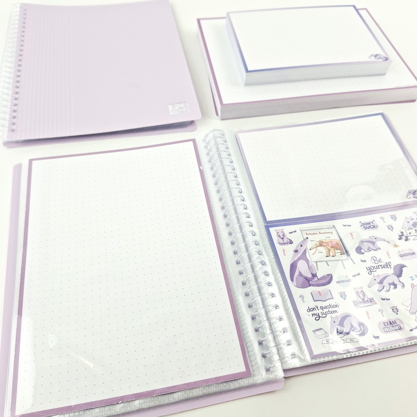 leitner flashcards a6 dotted roze:paars miereneter