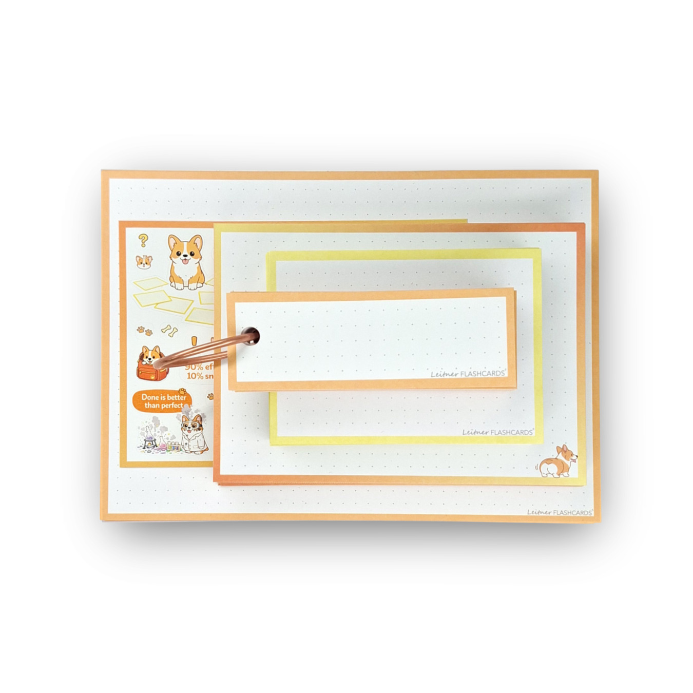 leitner flashcards alle formaten 200 stuks corgi