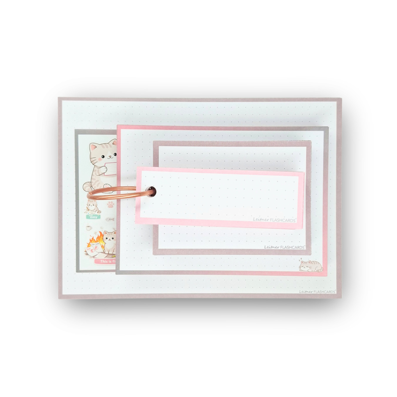 leitner flashcards alle formaten 200 stuks kat