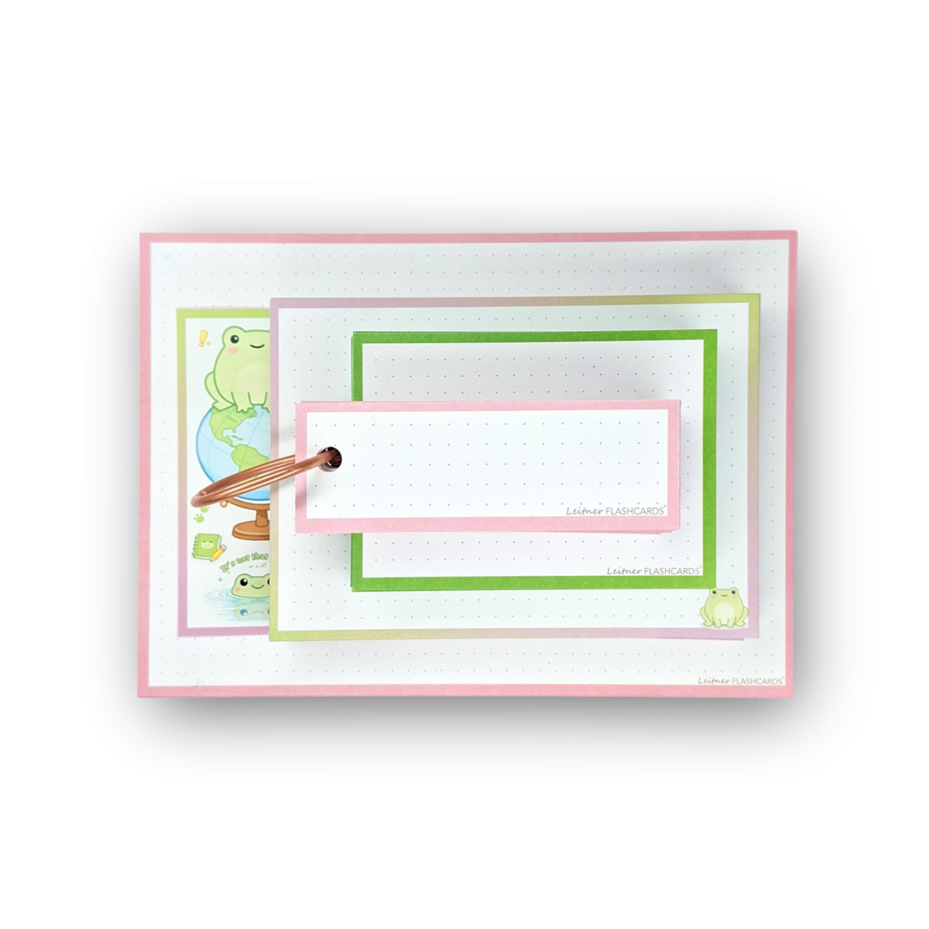 leitner flashcards alle formaten 200 stuks kikker