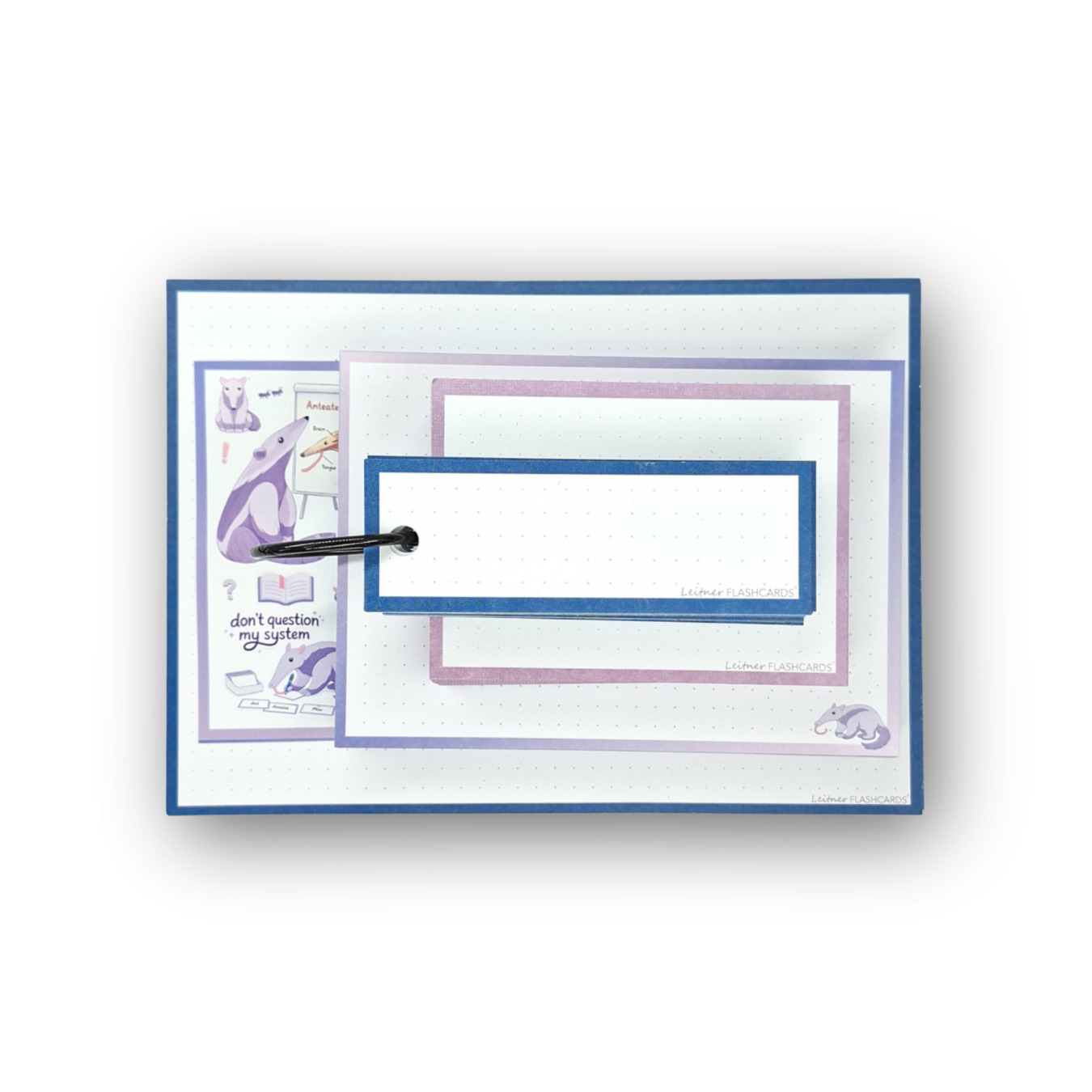 leitner flashcards alle formaten 200 stuks miereneter