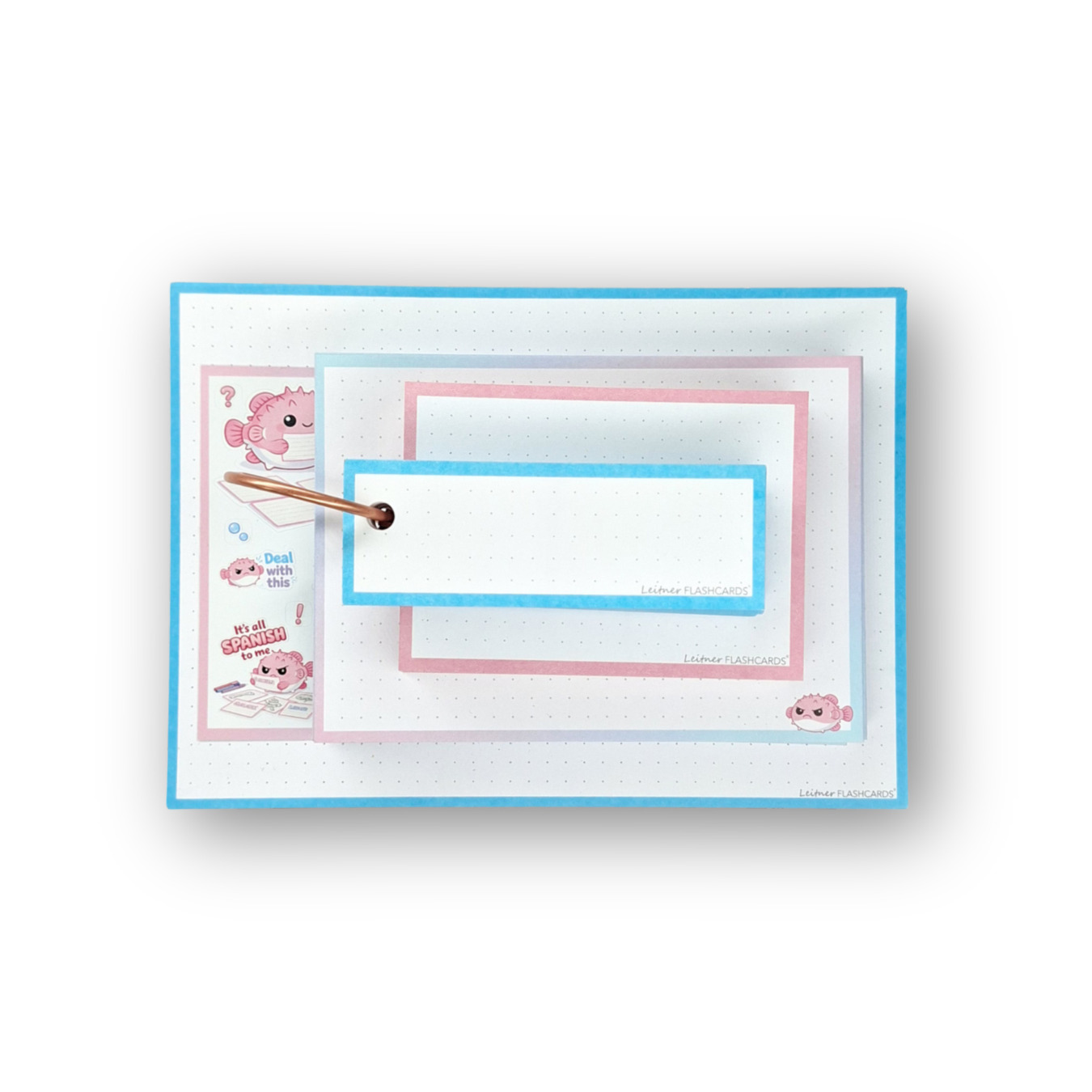 leitner flashcards alle formaten 200 stuks pufferfish
