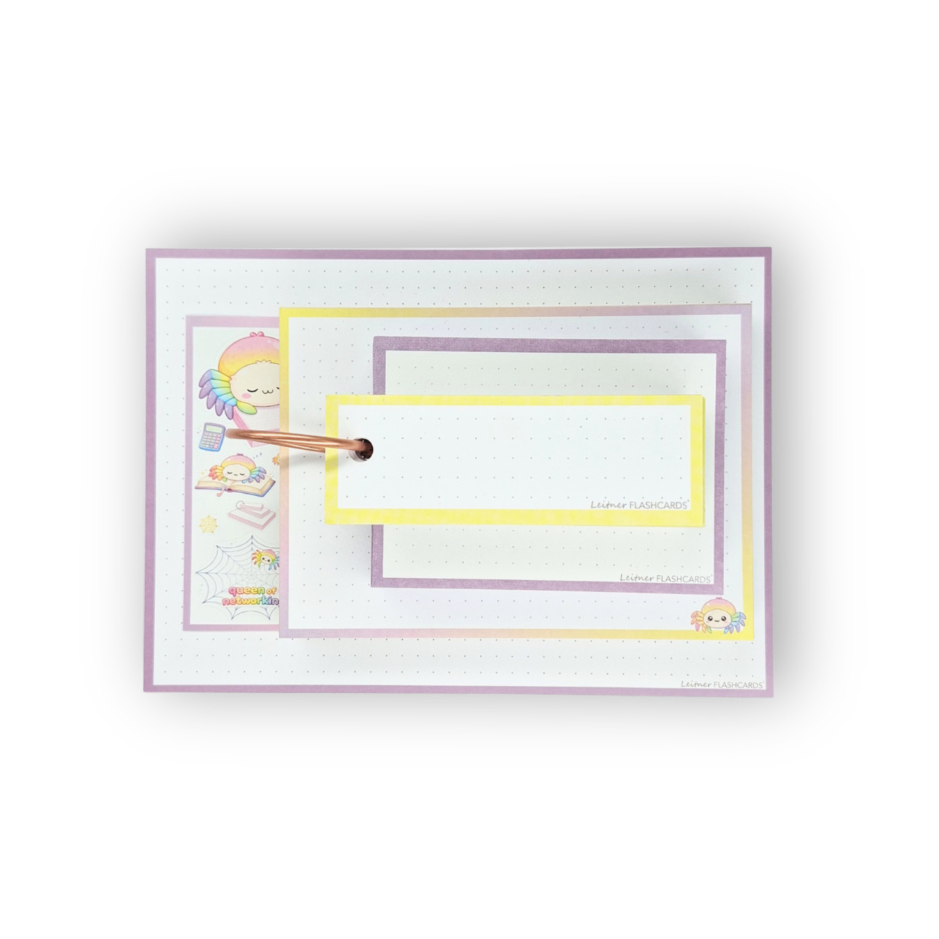 leitner flashcards alle formaten 200 stuks spin