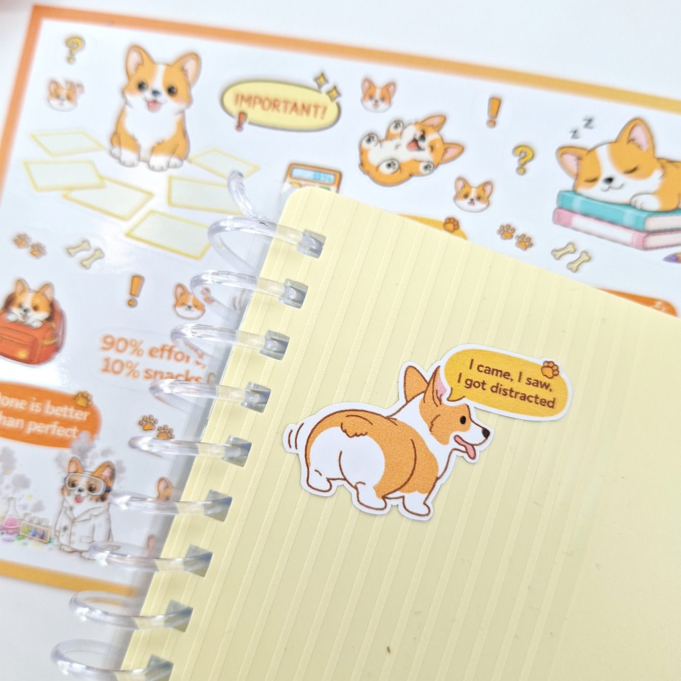leitner flashcards stickers a6 corgi