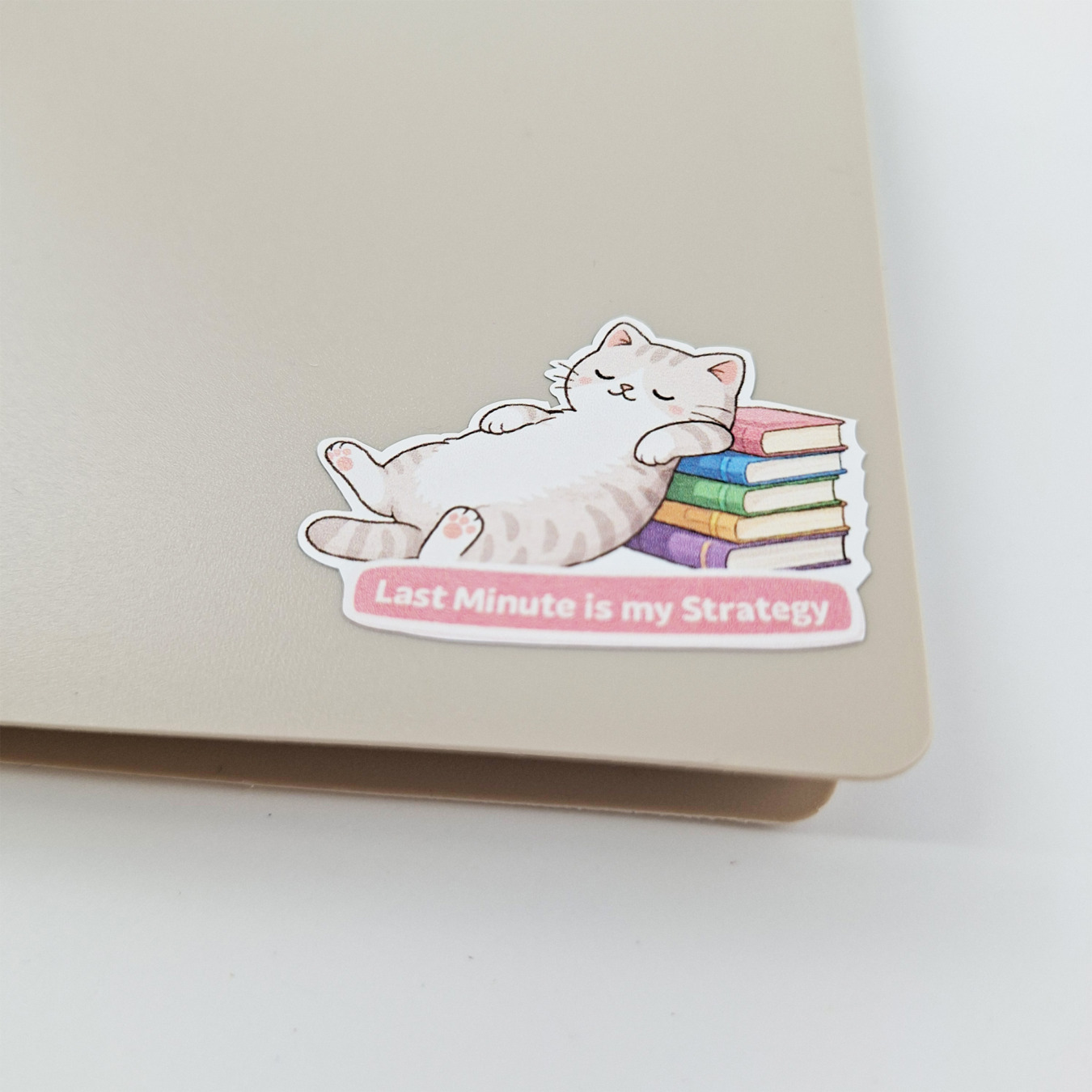 leitner flashcards stickers a6 kat