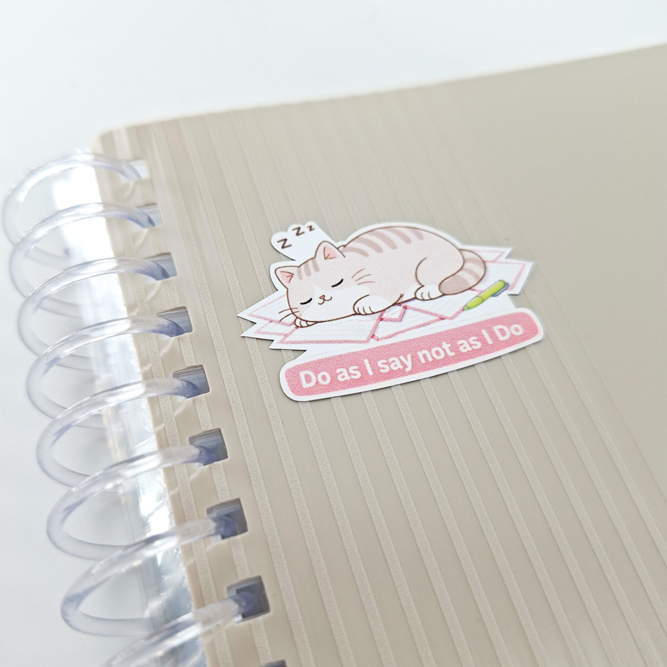 leitner flashcards stickers a6 kat