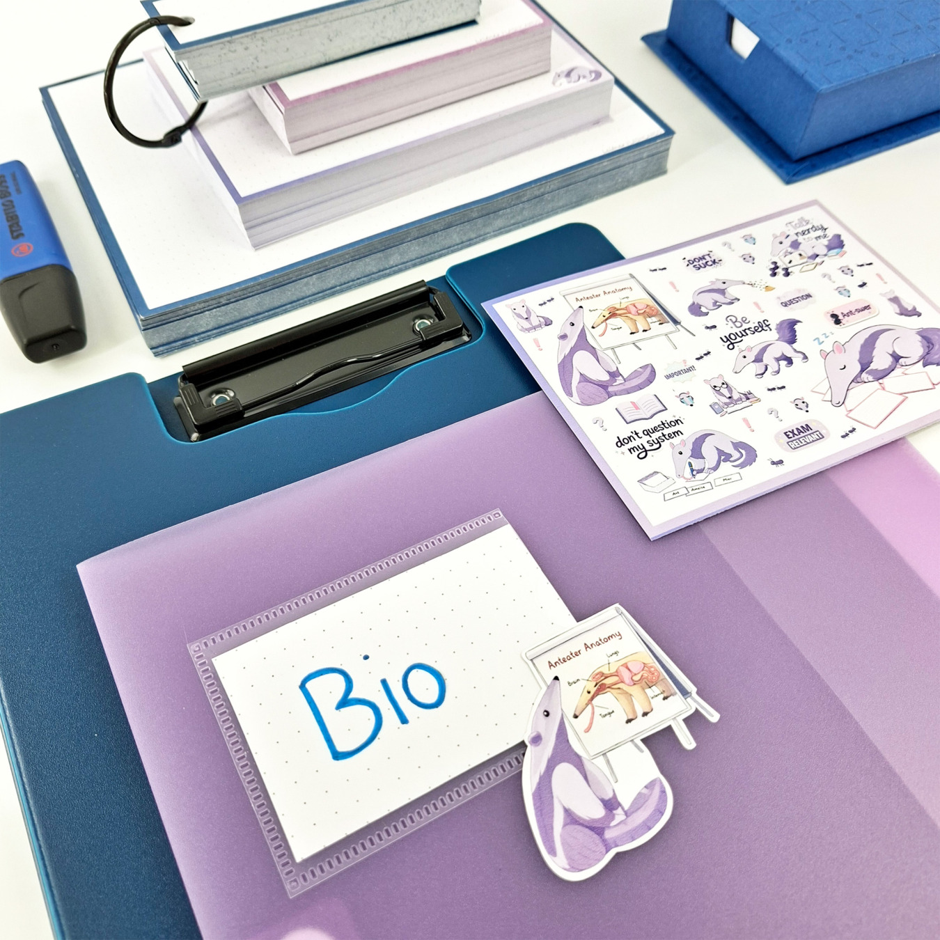 leitner flashcards stickers a6 miereneter