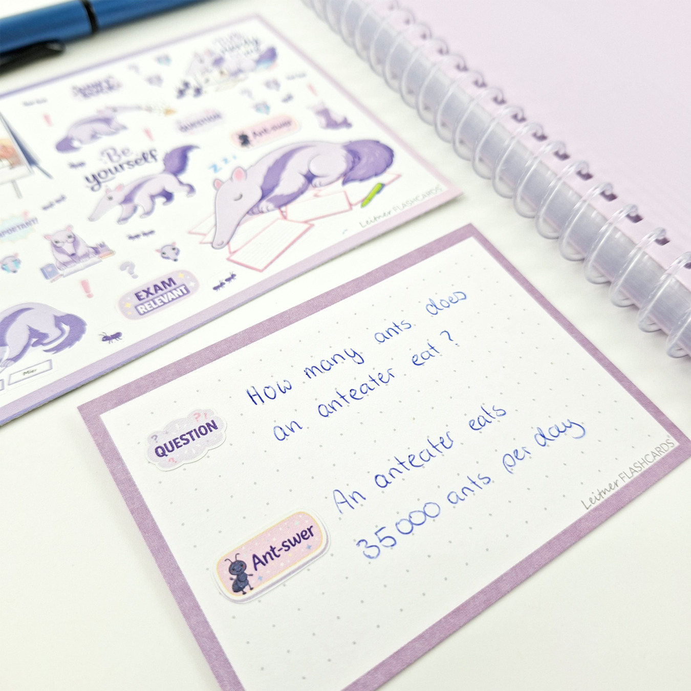 leitner flashcards stickers a6 miereneter