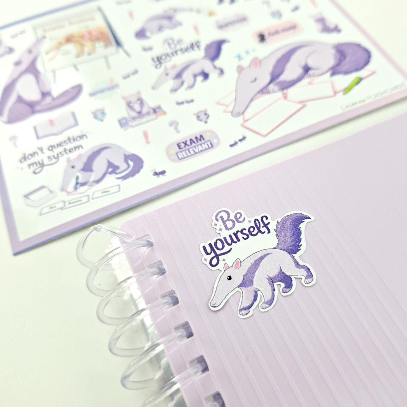 leitner flashcards stickers a6 miereneter