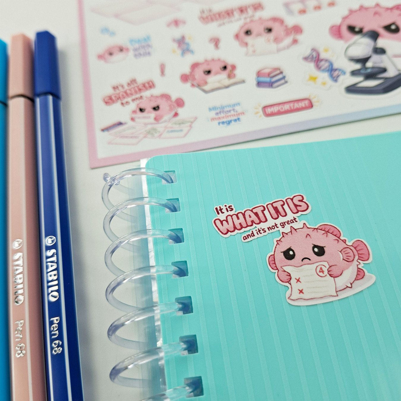 leitner flashcards stickers a6 pufferfish
